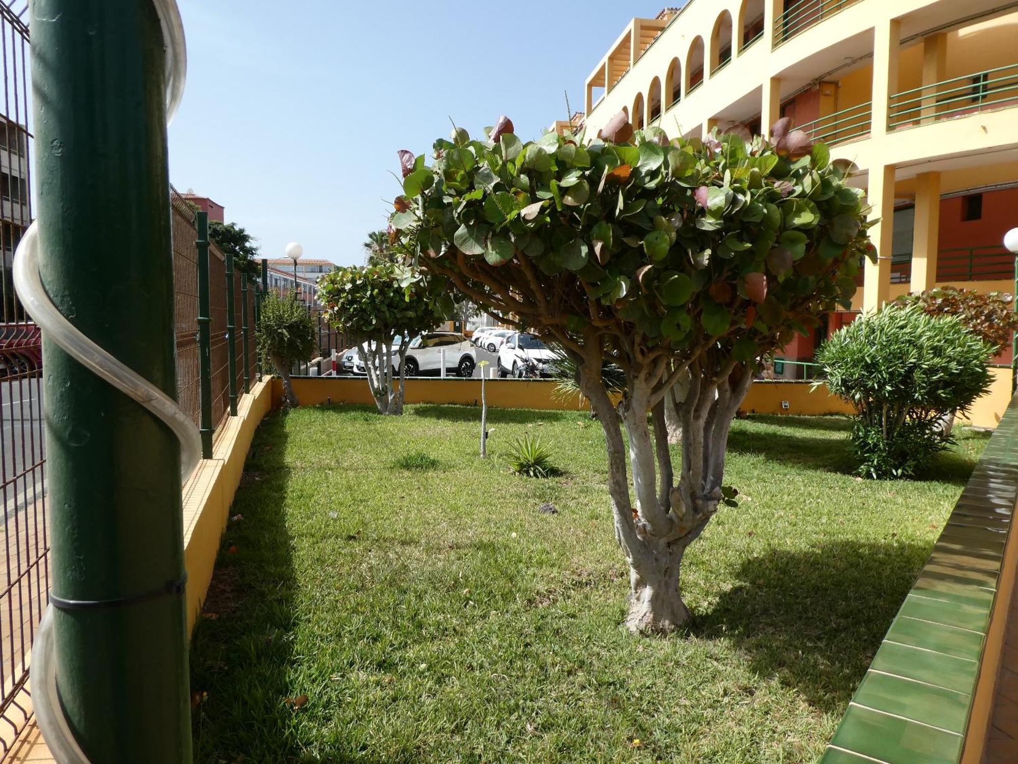 Apartment El Halcon - Halcon Dream *